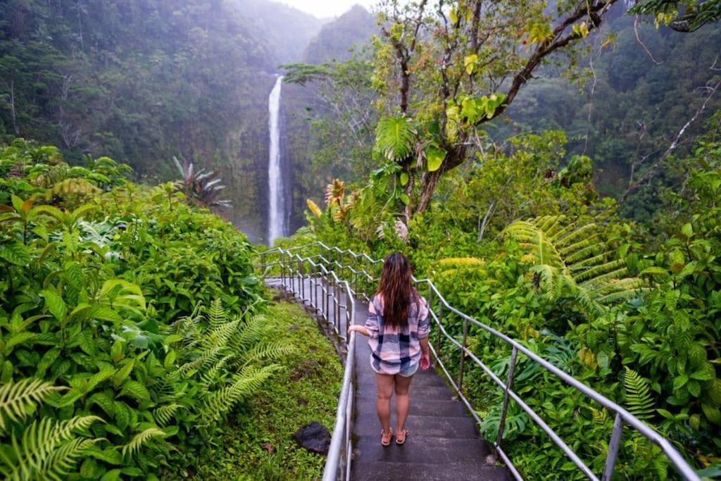 The Honomu House - Gorgeous, Spacious 4Bd2Ba Home Near Waterfalls And Hilo, Sleeps 12! Extérieur photo