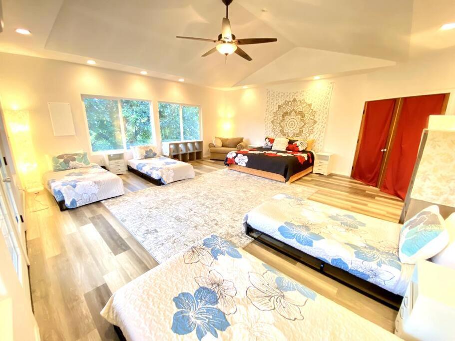 The Honomu House - Gorgeous, Spacious 4Bd2Ba Home Near Waterfalls And Hilo, Sleeps 12! Extérieur photo